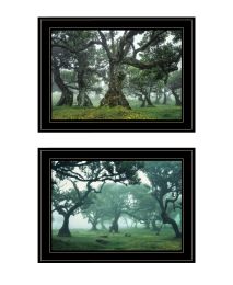 "Enchanted Forest Collection" 2-Piece Vignette By Martin Podt; Ready to Hang Framed Print; Black Frame