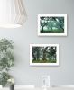 "Enchanted Forest Collection" 2-Piece Vignette By Martin Podt; Ready to Hang Framed Print; White Frame