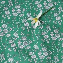 Capel 80 Long Velvet Cotton Digital Printing Fabric (Option: Green-4m)