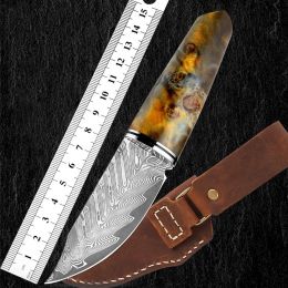 Damascus Steel Hand Handle Meat Knife Fruit Knife Outdoor Portable (Option: 1 Style)