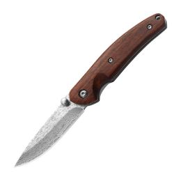 Damascus Steel Mini Carry Self-defense Outdoor Camping Portable Fruit Folding Knife (Option: Pocket knife)