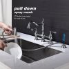 Bridge Dual Handles Kitchen Faucet With Pull-Out Side Spray in