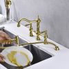 Bridge Dual Handles Kitchen Faucet With Pull-Out Side Spray in