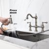 Bridge Dual Handles Kitchen Faucet With Pull-Out Side Spray in